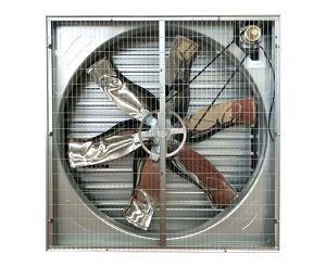 畜牧蘑菇视频网页在纺织车间的应用情况