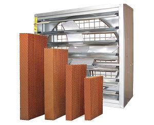 蘑菇视频网页水帘的除臭方法和维护方法