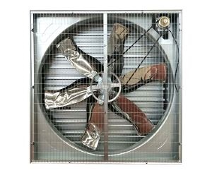 畜牧蘑菇视频网页的使用优点有哪些