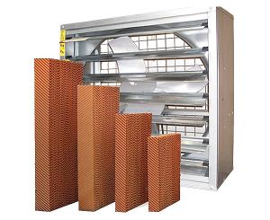 夏季应如何使用蘑菇视频网页水帘