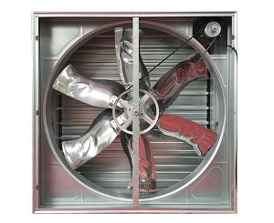 负压蘑菇视频网页原理是什么